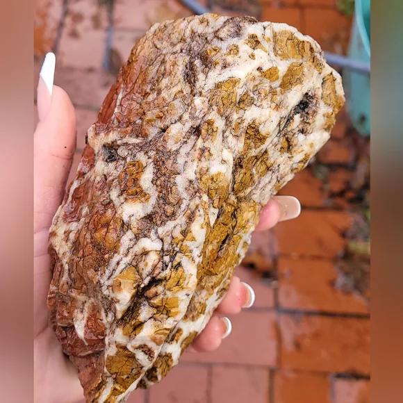 Natural Orange Red Purple Jasper Lapidary Rough Rock